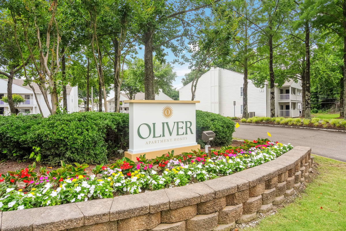 Apartments for Rent Olive Branch, MS The Oliver
